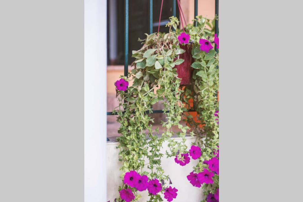 Spiti Maria Apartment Valanio Exterior foto